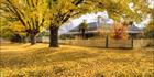 Beechworth - VIC SQ (PBH3 00 34579)